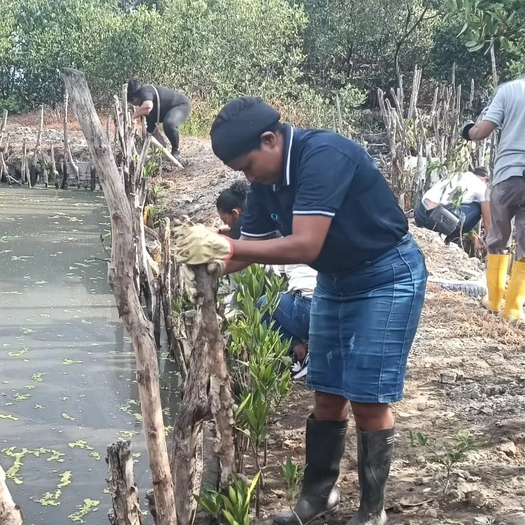 Recuperamos espacios para la vida en Olaya Herrera