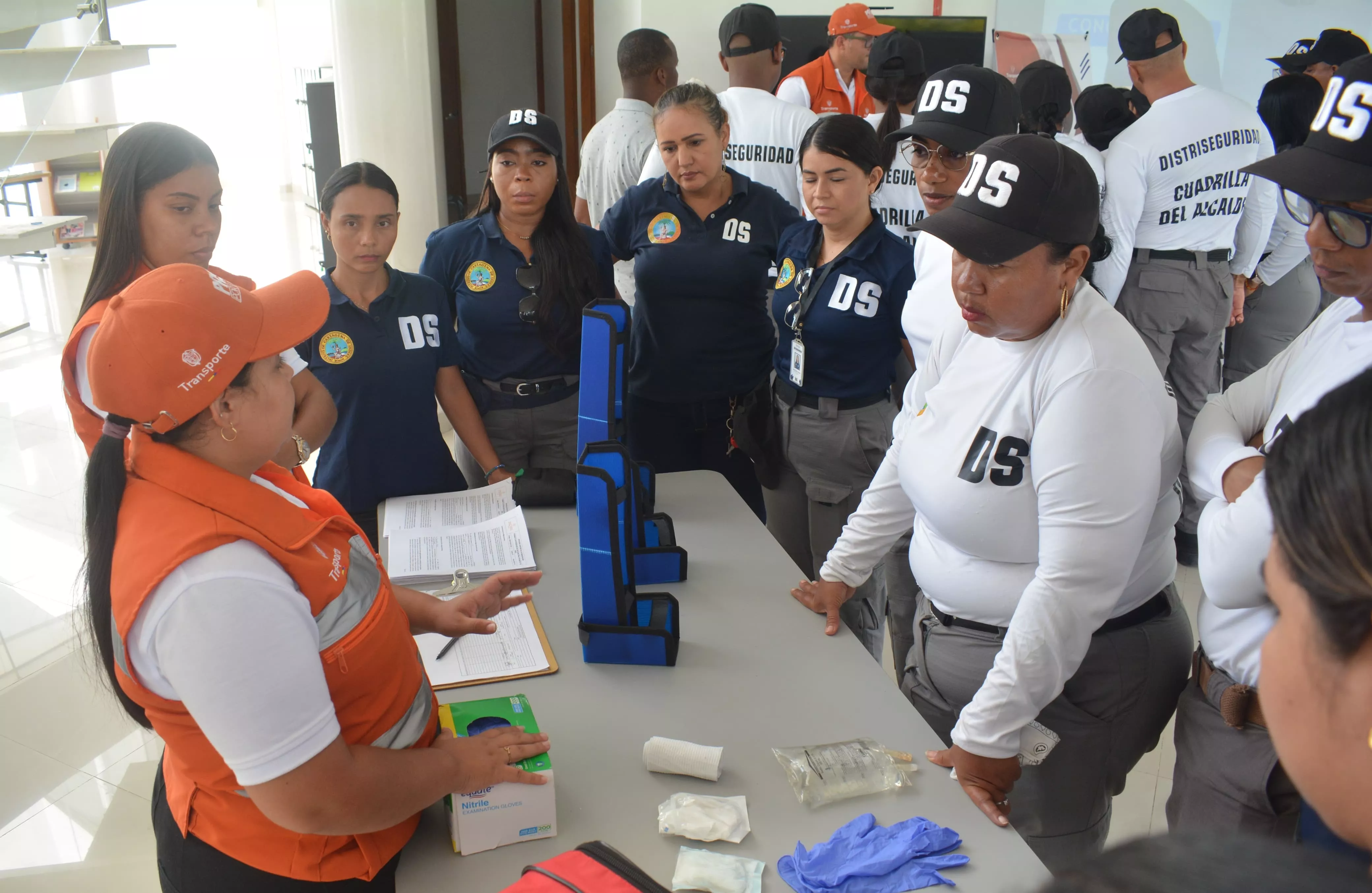 Distriseguridad 