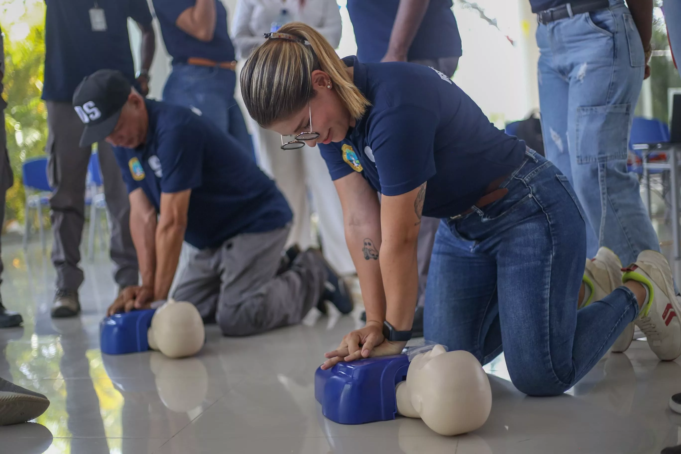 Distriseguridad 
