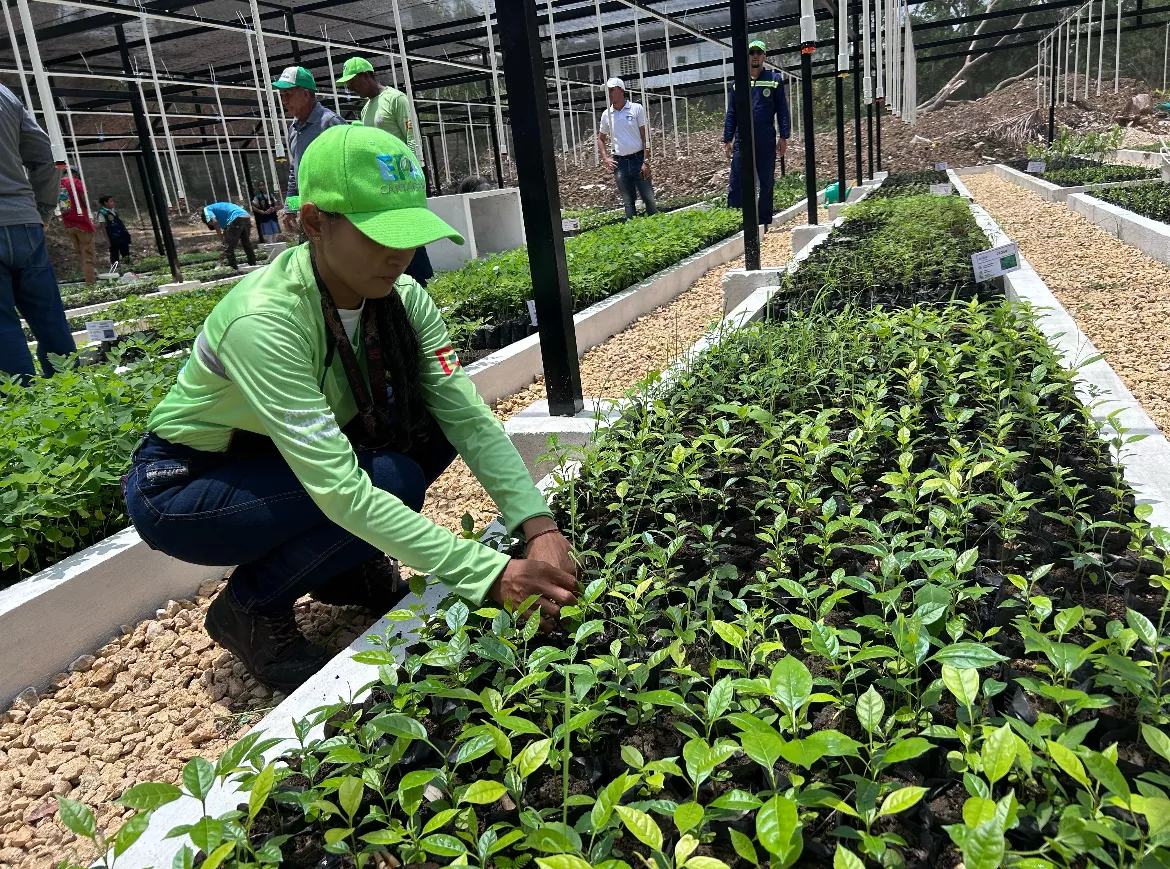 Vivero bioclimático 